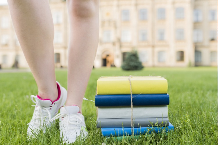 Oci, cultura i educació